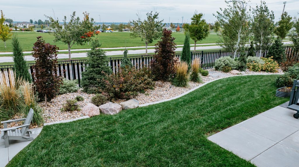 backyard landscaping and decorative rock installation