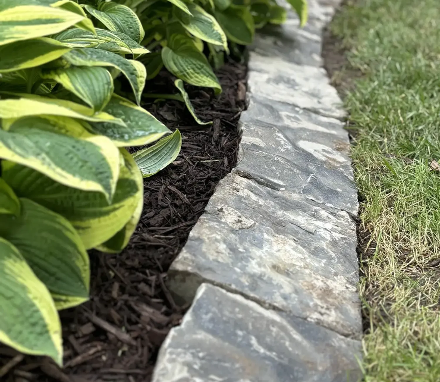 Chiseled natural stone landscape edging separating hosta garden bed from lawn
