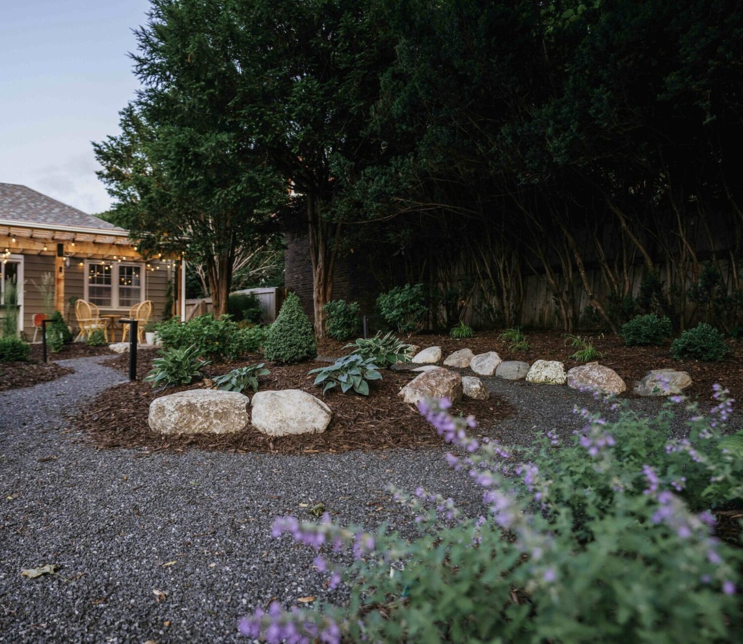 Gravel garden path curving around mature trees and dark mulched planting beds