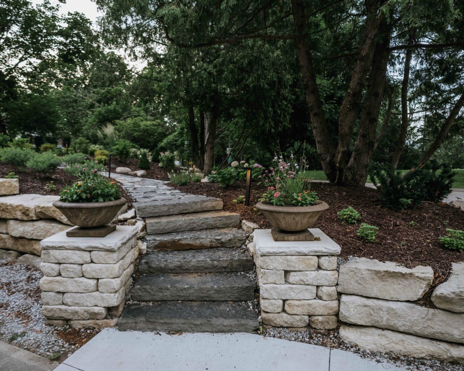 Dark mulched garden bed with mixed perennial plantings beneath shady tree canopy