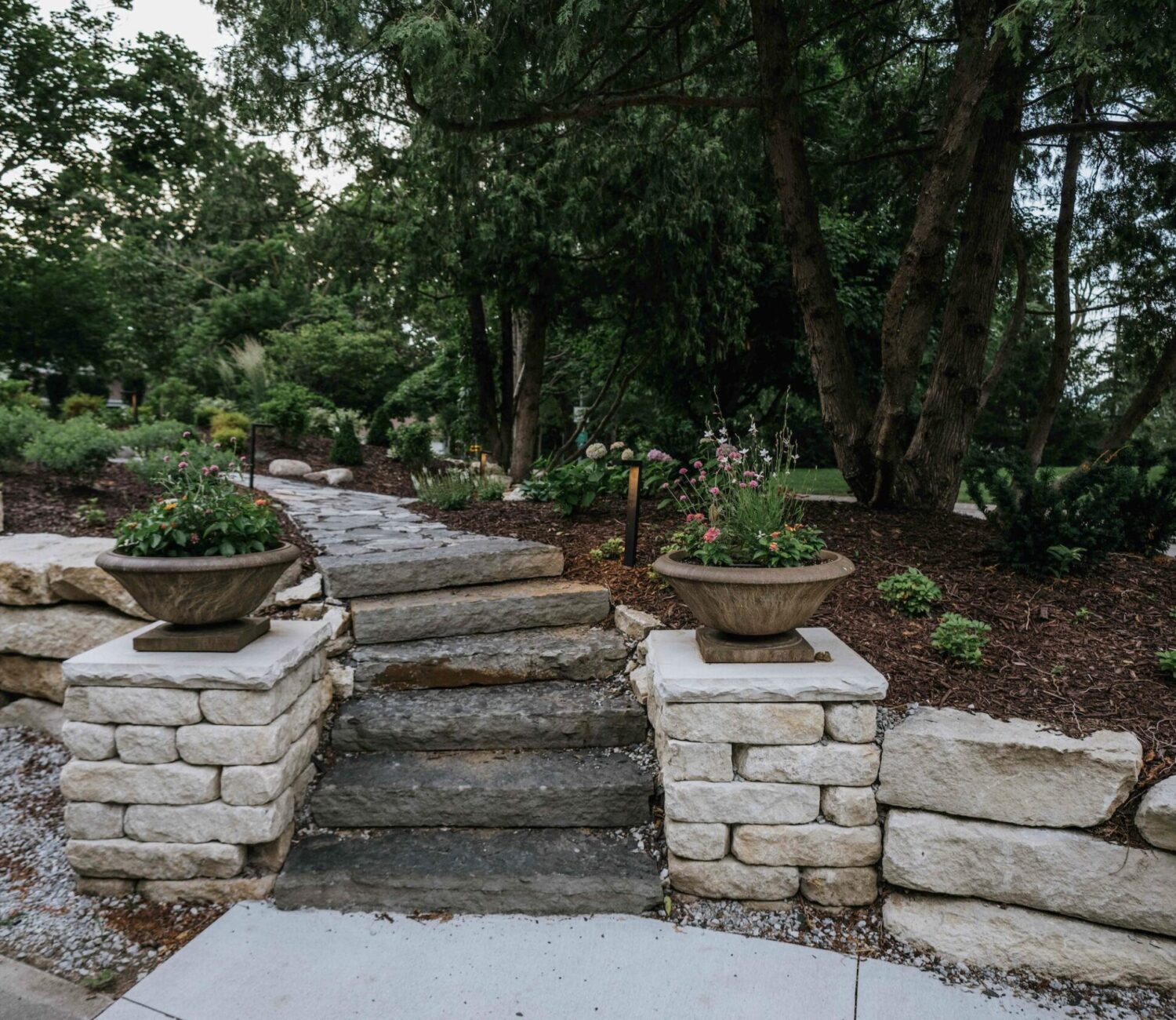 Dark mulched garden bed with mixed perennial plantings beneath shady tree canopy