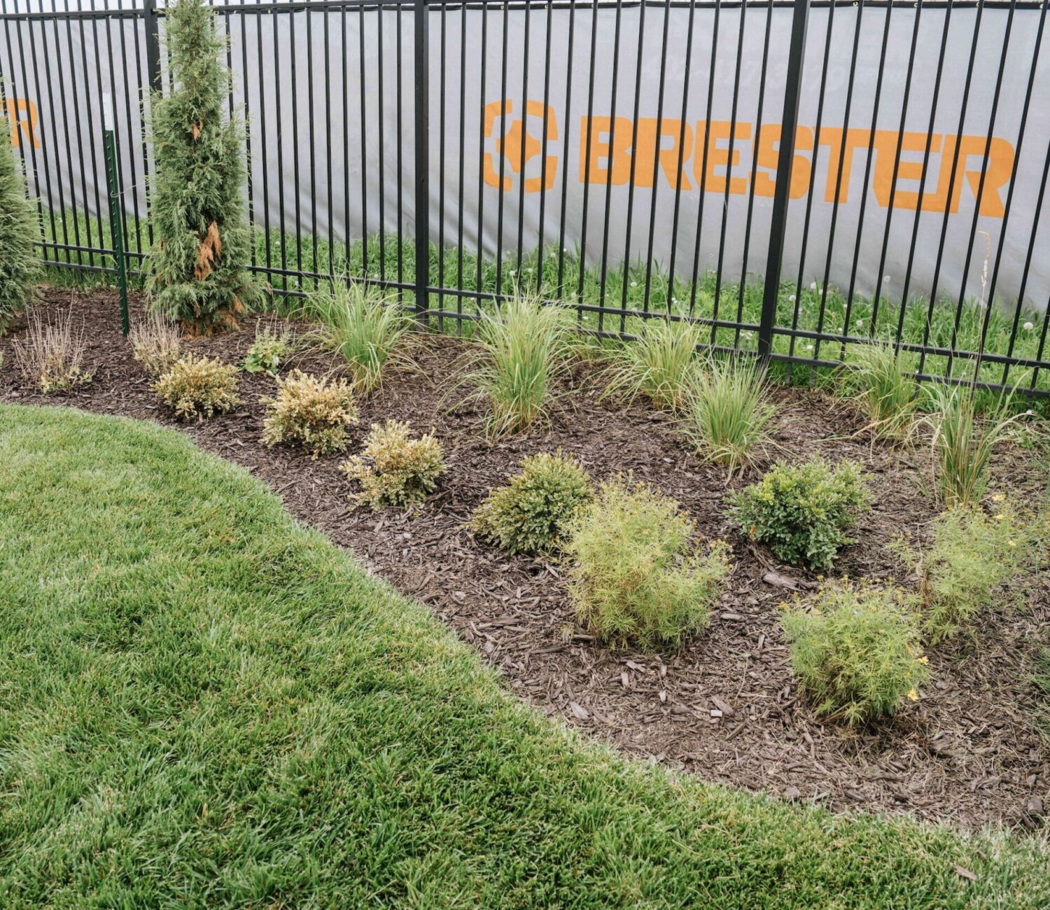 Wrought iron pool fence enclosing fresh garden bed plantings and green lawn